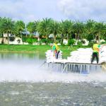 The Impact of Sustainable Practices on Business Sustainability