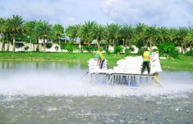 The Impact of Sustainable Practices on Business Sustainability