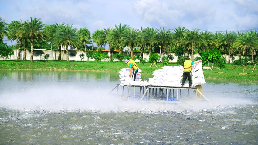The Impact of Sustainable Practices on Business Sustainability