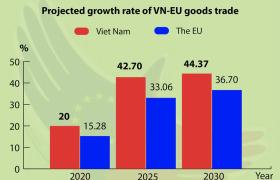 The European Parliament on February 12 ratified the EVFTA and the EVIPA agreements between Vietnam and the EU